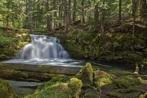 Whitehorse Falls Black Ornate Wood Framed Art Print with Double Matting by McFerrin, Larry