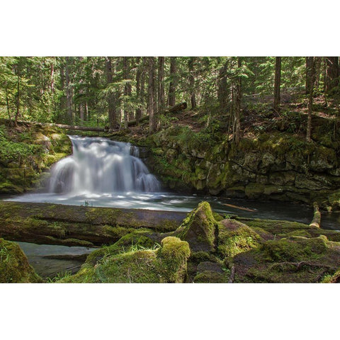 Whitehorse Falls Black Modern Wood Framed Art Print by McFerrin, Larry