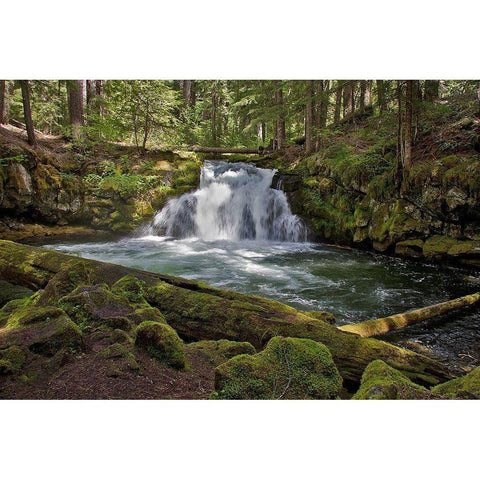 Whitehorse Falls White Modern Wood Framed Art Print by McFerrin, Larry