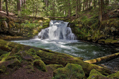 Whitehorse Falls Black Ornate Wood Framed Art Print with Double Matting by McFerrin, Larry