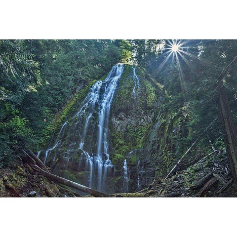 Lower Proxy Falls White Modern Wood Framed Art Print by McFerrin, Larry