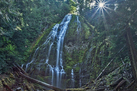 Lower Proxy Falls White Modern Wood Framed Art Print with Double Matting by McFerrin, Larry