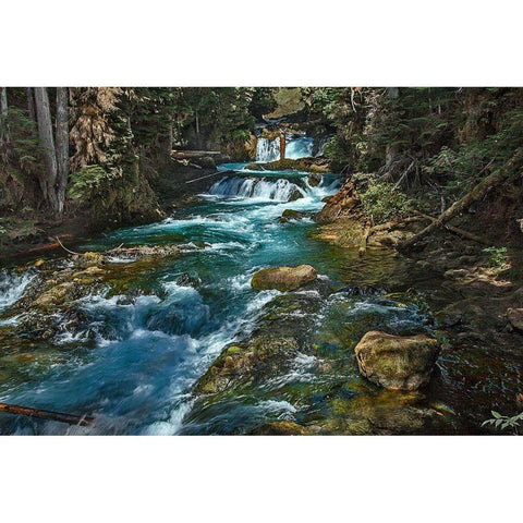 McKensie River Black Modern Wood Framed Art Print with Double Matting by McFerrin, Larry