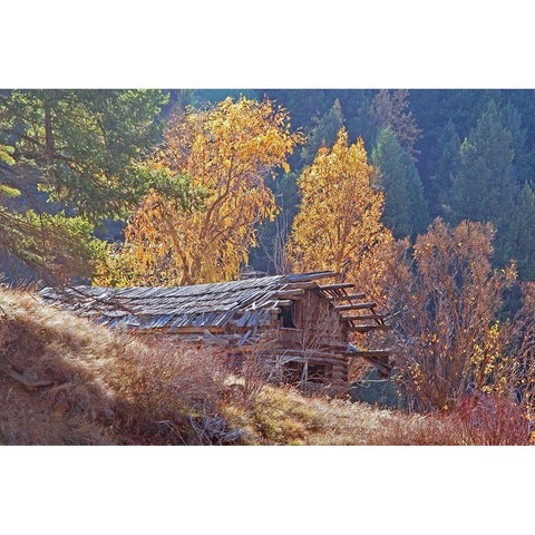 North Fork Cabin Black Modern Wood Framed Art Print with Double Matting by McFerrin, Larry