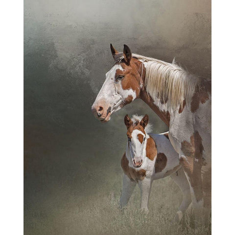 Chinook and Her Foal White Modern Wood Framed Art Print by McFerrin, Larry