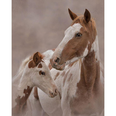 Gypsy and Sentinel Black Modern Wood Framed Art Print with Double Matting by McFerrin, Larry