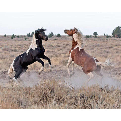 Domino and Aztec Black Modern Wood Framed Art Print by McFerrin, Larry