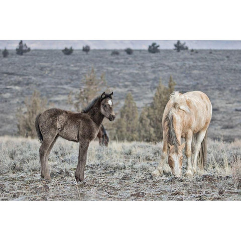 Precious and Dad (Casper) Gold Ornate Wood Framed Art Print with Double Matting by McFerrin, Larry