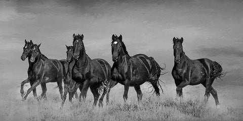 Voodoo Band Black Ornate Wood Framed Art Print with Double Matting by McFerrin, Larry