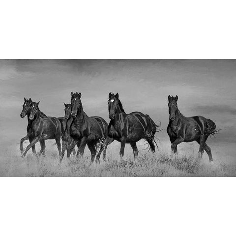 Voodoo Band Black Modern Wood Framed Art Print with Double Matting by McFerrin, Larry