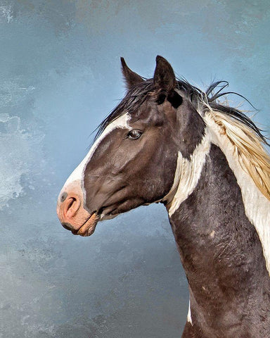 Casino Black Ornate Wood Framed Art Print with Double Matting by McFerrin, Larry