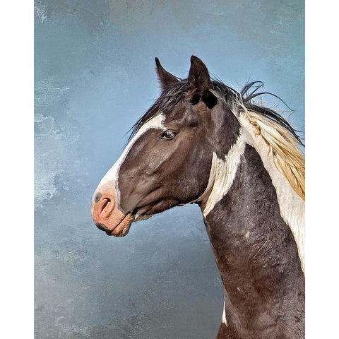 Casino Black Modern Wood Framed Art Print by McFerrin, Larry