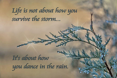 Dance in the Rain Black Ornate Wood Framed Art Print with Double Matting by McFerrin, Larry