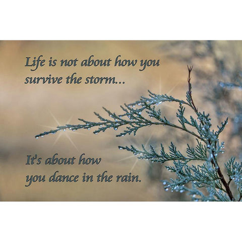 Dance in the Rain Black Modern Wood Framed Art Print with Double Matting by McFerrin, Larry