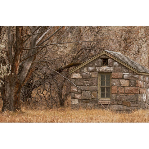 Stone Cabin White Modern Wood Framed Art Print by McFerrin, Larry