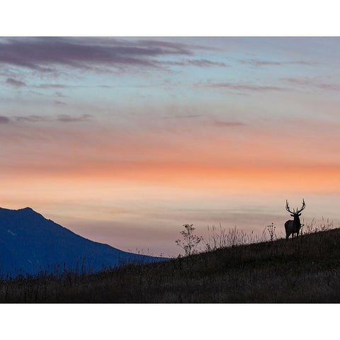 Elkscape Black Modern Wood Framed Art Print with Double Matting by McFerrin, Larry