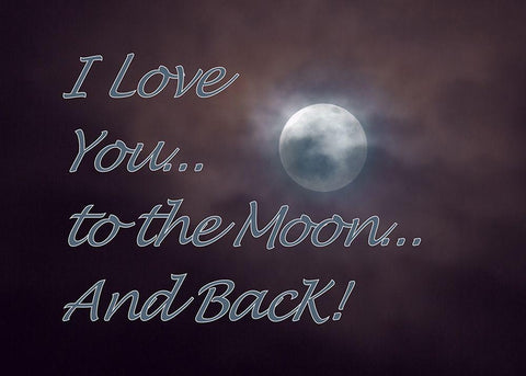 Moon and Back Black Ornate Wood Framed Art Print with Double Matting by McFerrin, Larry