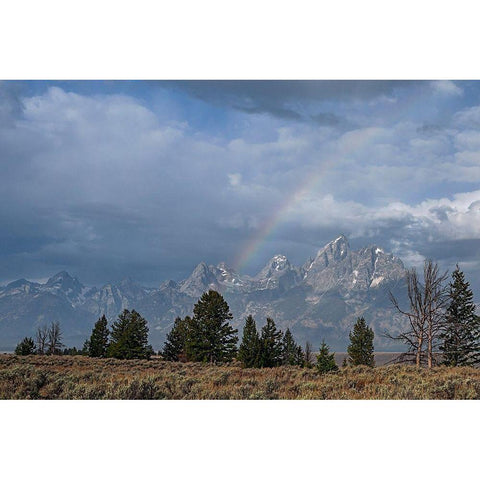 Teton Rainbow Gold Ornate Wood Framed Art Print with Double Matting by McFerrin, Larry
