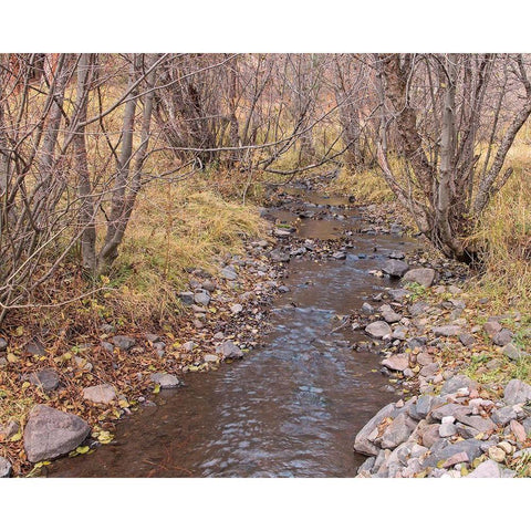 Ochoco Creek Black Modern Wood Framed Art Print with Double Matting by McFerrin, Larry