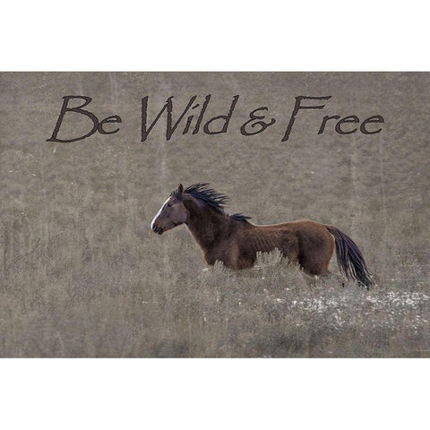 Be Wild and Free White Modern Wood Framed Art Print by McFerrin, Larry