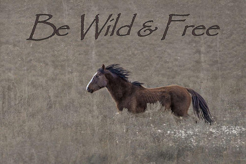 Be Wild and Free Black Ornate Wood Framed Art Print with Double Matting by McFerrin, Larry