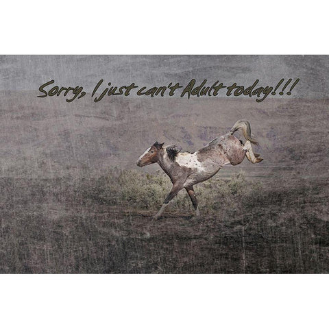 Cant Adult White Modern Wood Framed Art Print by McFerrin, Larry