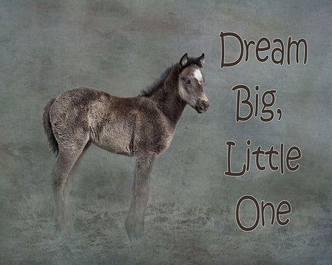 Dream Big White Modern Wood Framed Art Print with Double Matting by McFerrin, Larry