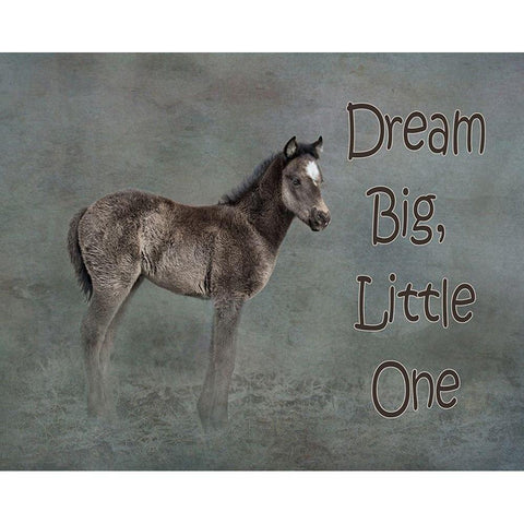 Dream Big Gold Ornate Wood Framed Art Print with Double Matting by McFerrin, Larry