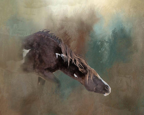 Majesty - Wild Stallion White Modern Wood Framed Art Print with Double Matting by McFerrin, Larry