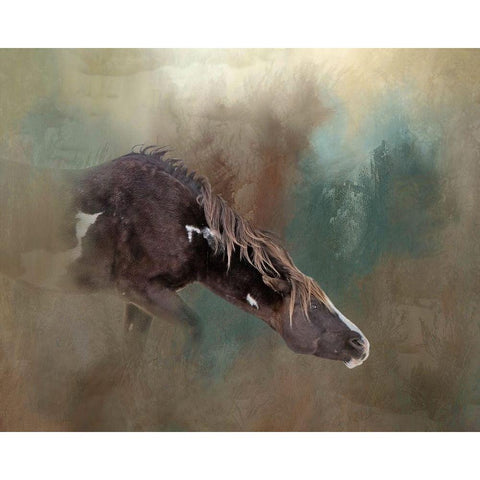 Majesty - Wild Stallion Black Modern Wood Framed Art Print by McFerrin, Larry