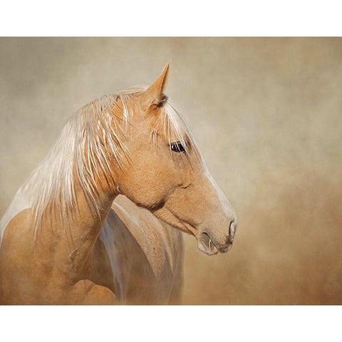 Silk - Mustang Mare White Modern Wood Framed Art Print by McFerrin, Larry