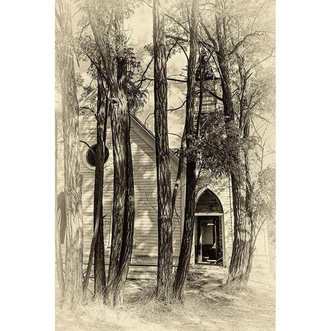 Abandoned Church Black Modern Wood Framed Art Print with Double Matting by McFerrin, Larry