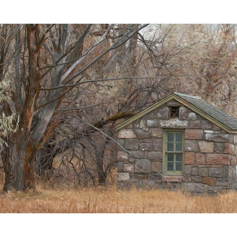 Stone Cabin Black Modern Wood Framed Art Print by McFerrin, Larry