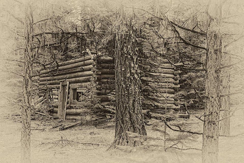 Cabin in the Woods White Modern Wood Framed Art Print with Double Matting by McFerrin, Larry