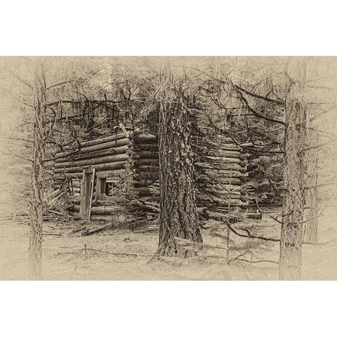 Cabin in the Woods Black Modern Wood Framed Art Print with Double Matting by McFerrin, Larry