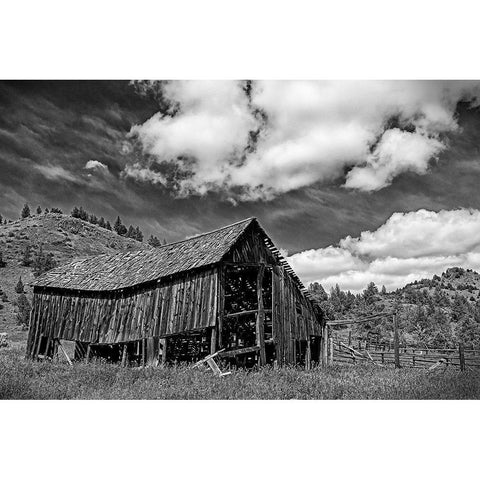 Old Barn and Corral Gold Ornate Wood Framed Art Print with Double Matting by McFerrin, Larry