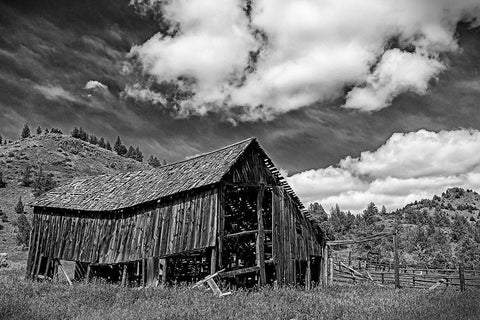 Old Barn and Corral Black Ornate Wood Framed Art Print with Double Matting by McFerrin, Larry