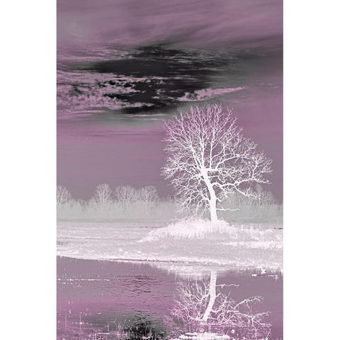 Pink Vision Black Modern Wood Framed Art Print with Double Matting by McFerrin, Larry