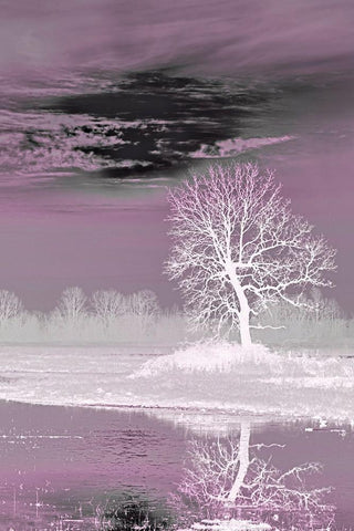 Pink Vision White Modern Wood Framed Art Print with Double Matting by McFerrin, Larry