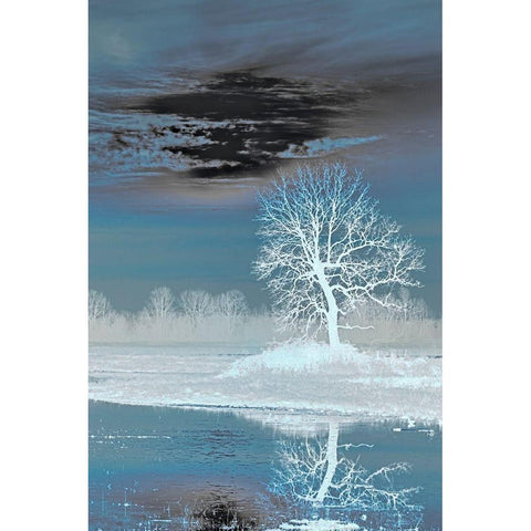 Teal Vision White Modern Wood Framed Art Print by McFerrin, Larry