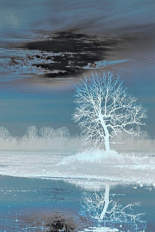 Teal Vision Black Ornate Wood Framed Art Print with Double Matting by McFerrin, Larry