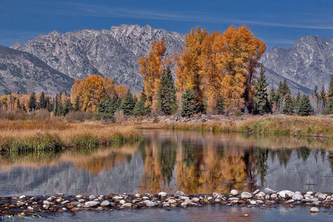 Teton Autumn Black Ornate Wood Framed Art Print with Double Matting by McFerrin, Larry