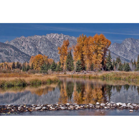 Teton Autumn Black Modern Wood Framed Art Print with Double Matting by McFerrin, Larry