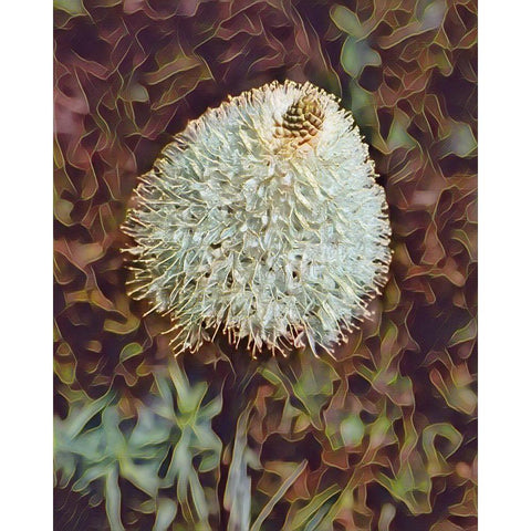 Gemstone Bear Grass Gold Ornate Wood Framed Art Print with Double Matting by McFerrin, Larry