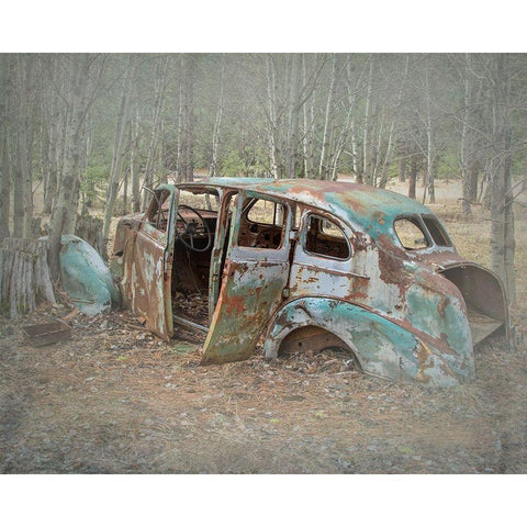 Abandoned Black Modern Wood Framed Art Print with Double Matting by McFerrin, Larry