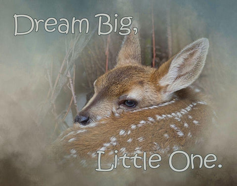 Dream Big Dear Black Ornate Wood Framed Art Print with Double Matting by McFerrin, Larry
