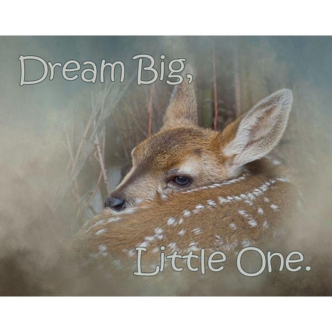 Dream Big Dear White Modern Wood Framed Art Print by McFerrin, Larry