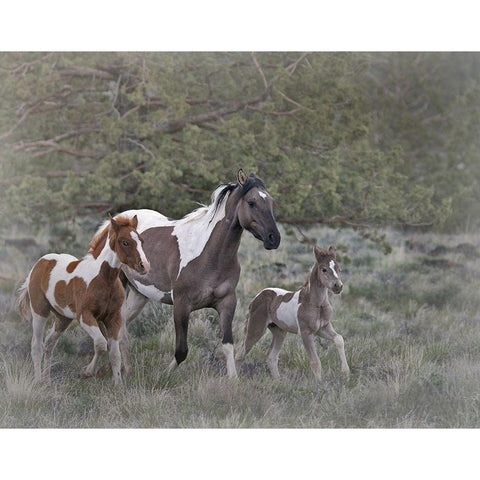 Legend-Aura-and Storm Gold Ornate Wood Framed Art Print with Double Matting by McFerrin, Larry