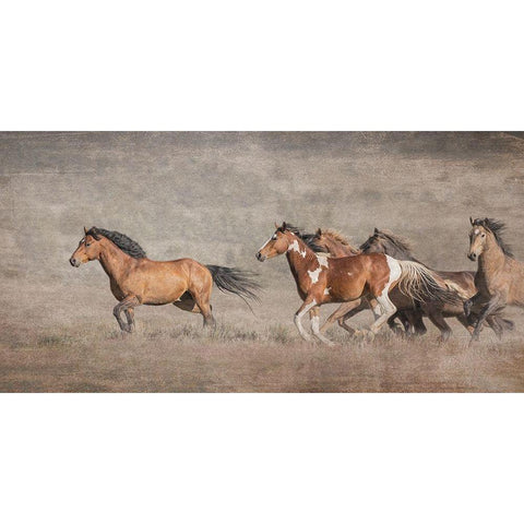 Wild Bachelors White Modern Wood Framed Art Print by McFerrin, Larry