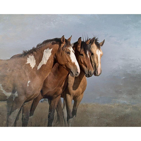 Bachelor Buddies White Modern Wood Framed Art Print by McFerrin, Larry